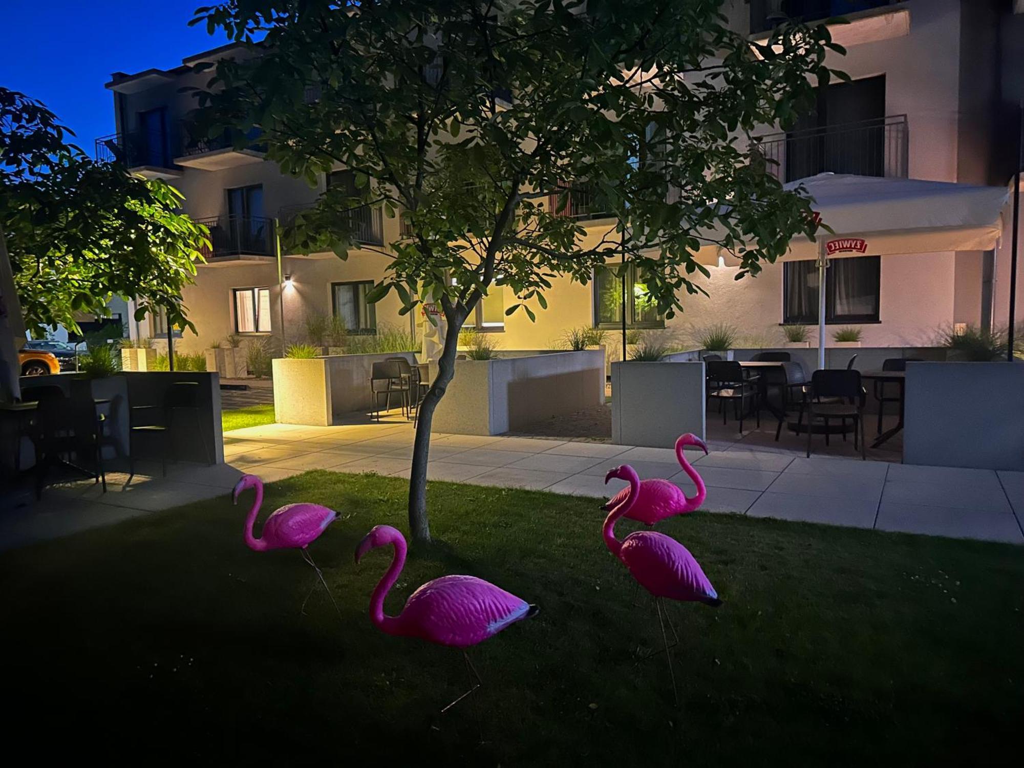 Apartment Przytulny Blisko Morza